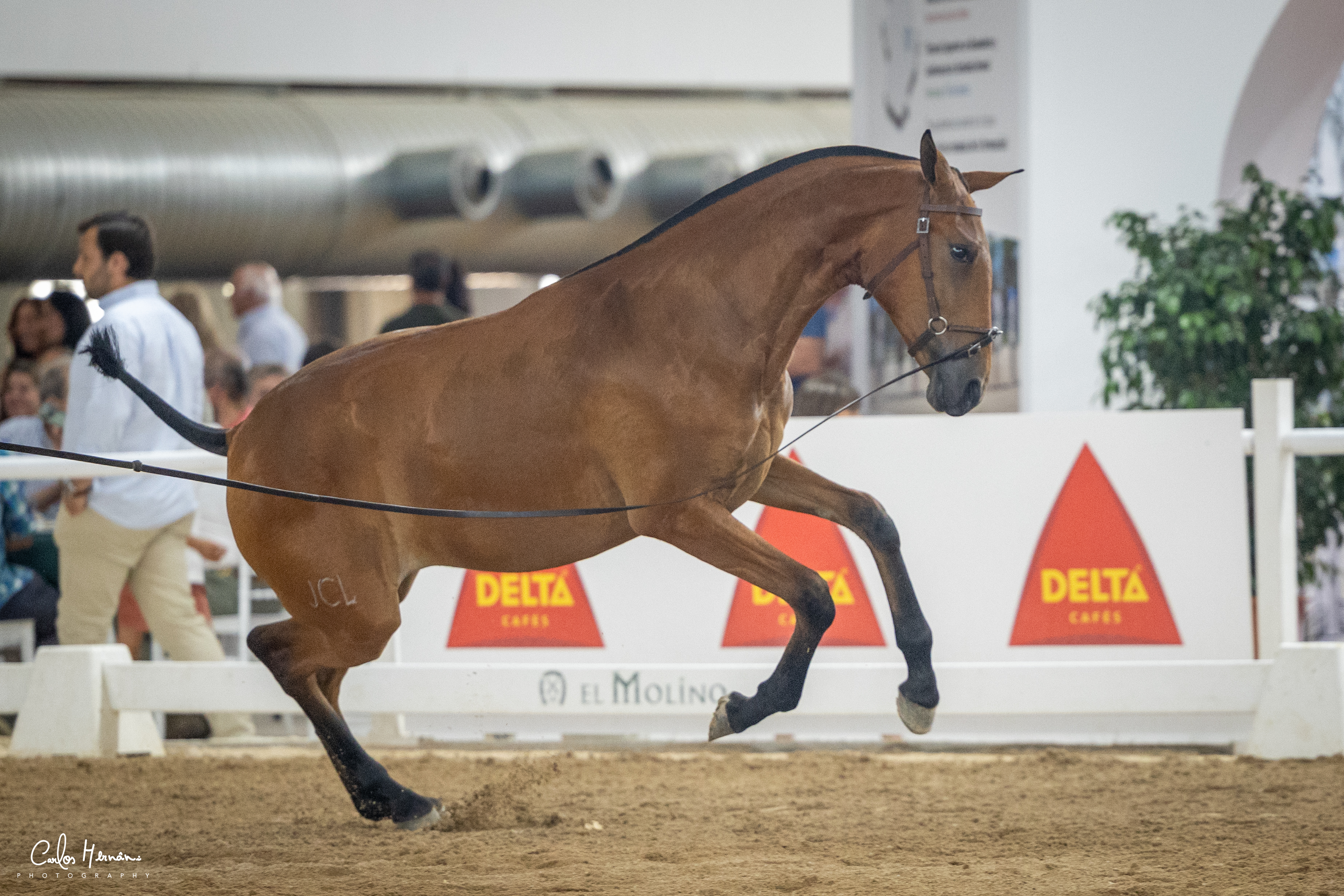 Uva JCL at Badajoz 2025
