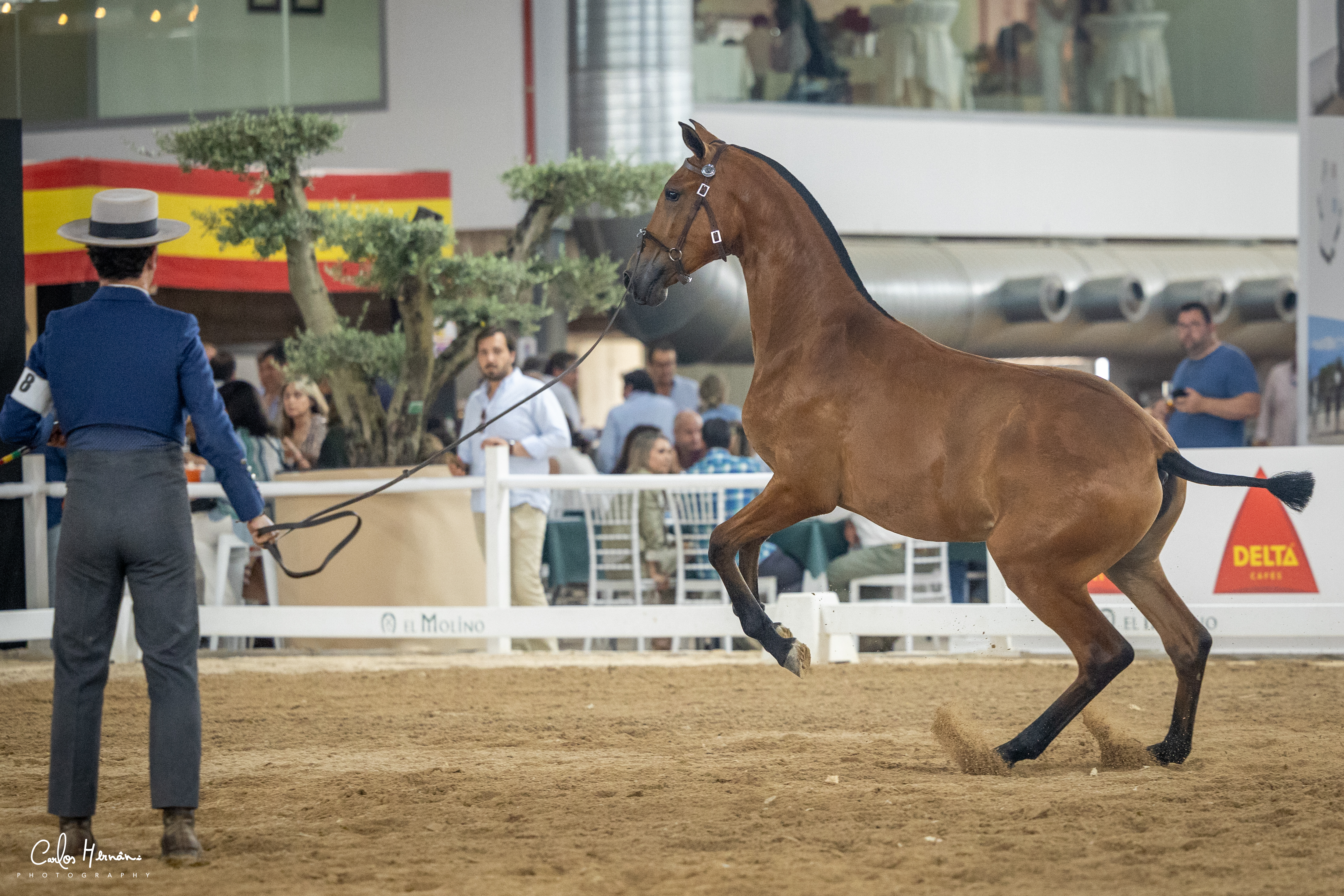 Uva JCL at Badajoz 2025
