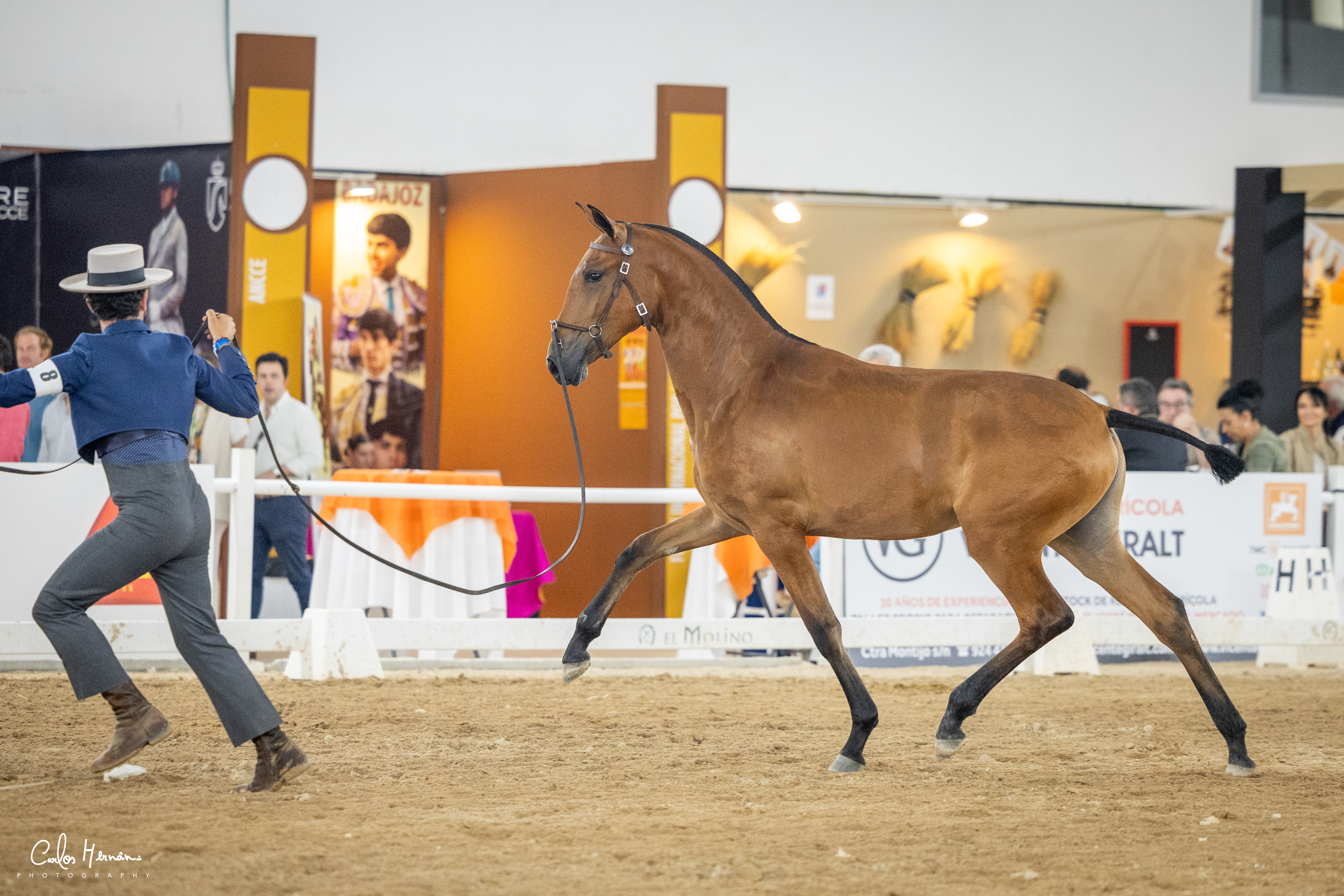 Uva JCL at Badajoz 2025